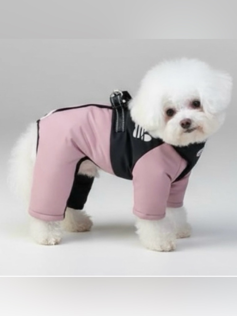 DOG WINTER JUMPSUIT IN LILAC & BLACK - BRAND NEW - Picture 2 of 10